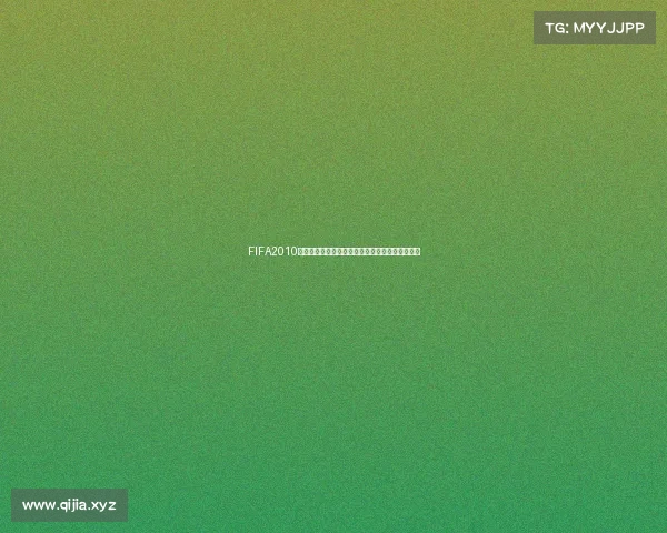 FIFA2010世界杯补丁全新升级赛场体验美还原绿茵激情对决